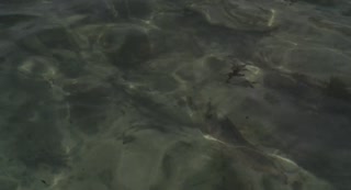 1168x632