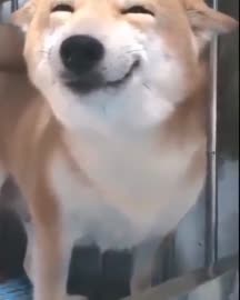 480x600