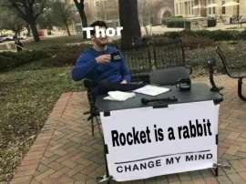482x361