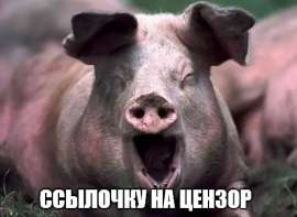 500x365