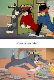 453x669