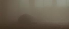 720x304