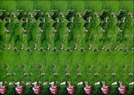 604x429