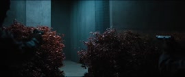 1000x420