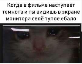 1080x846