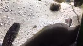 400x224