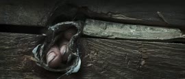1008x432
