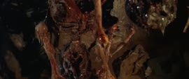 1280x544