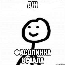 498x500