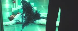 720x288