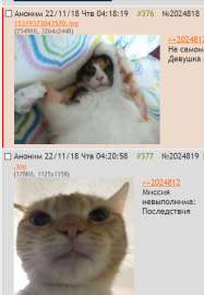 472x681