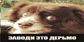 1202x600