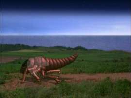 500x375