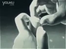 320x240