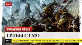 600x337