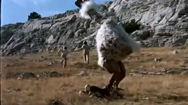 636x360