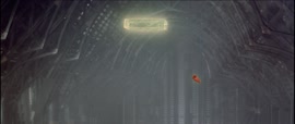 1920x816