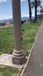 640x1136