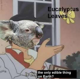 500x493