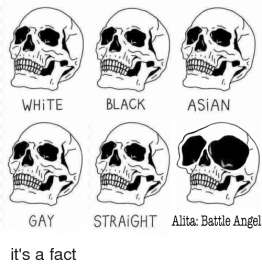500x515