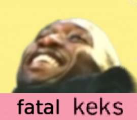 300x264