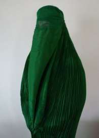 250x345