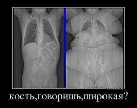 600x474