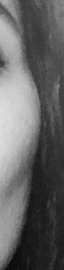 203x855