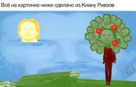 960x614