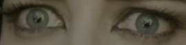 1621x400