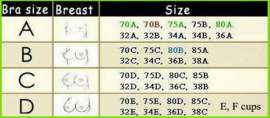 650x286