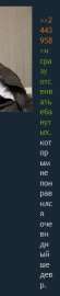 116x567