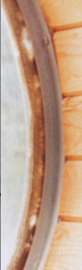 200x655