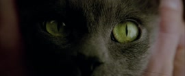 1280x528