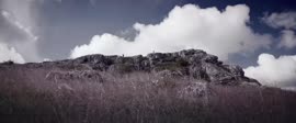1130x472