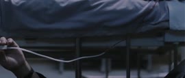 720x304