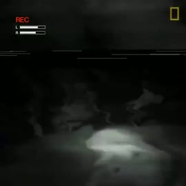 640x640