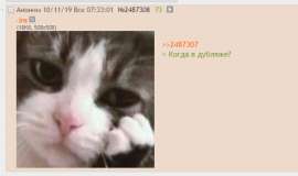 583x347