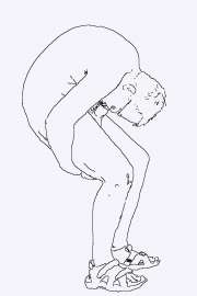 1323x1984