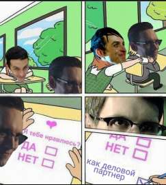 480x532