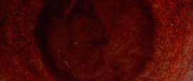 1919x813