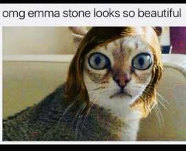460x376