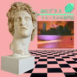 800x800