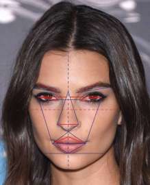 600x738