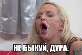 2269x1522