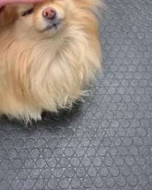 640x800