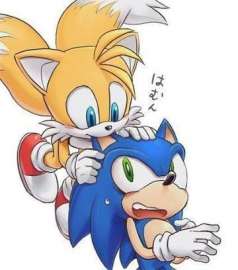 360x408