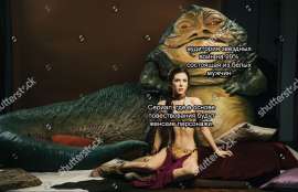 1280x826