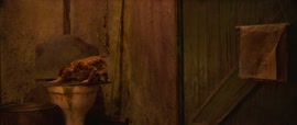 720x304