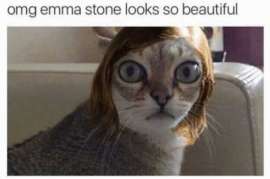 700x465